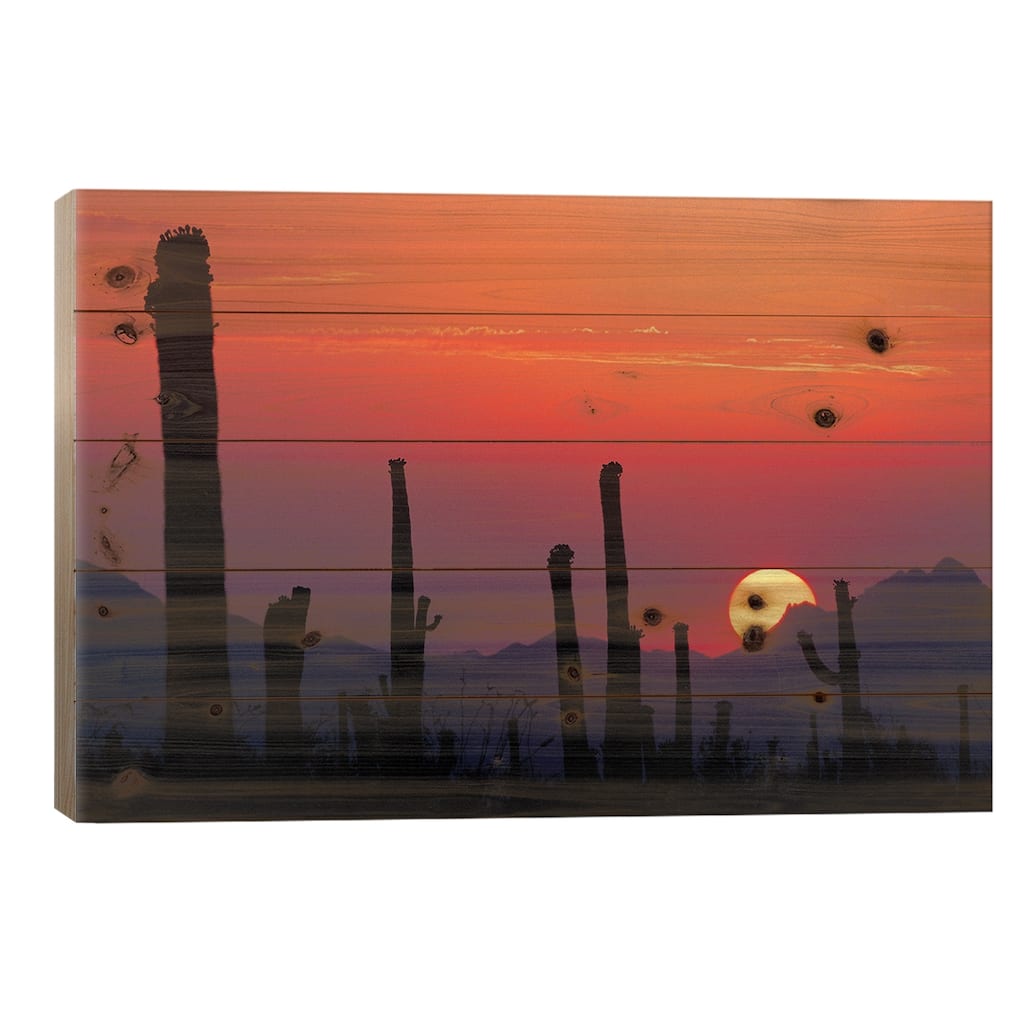 Saguaro Cacti At Sunset II, Saguaro National Park, Sonoran Desert, Arizona, USA Print On Wood by Rolf Nussbaumer - Multi-Color