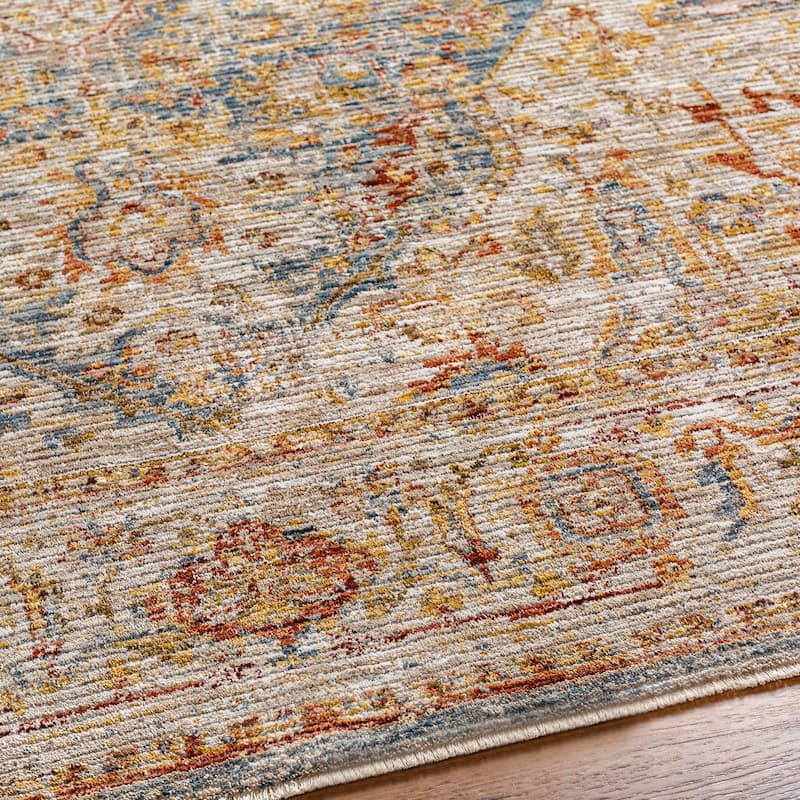 Zeynepe Traditional Medallion Area Rug
