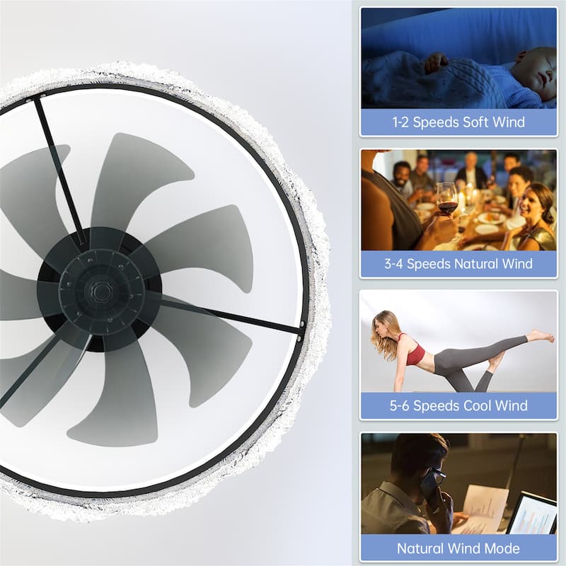 24" Quiet Ceiling Fan with Light