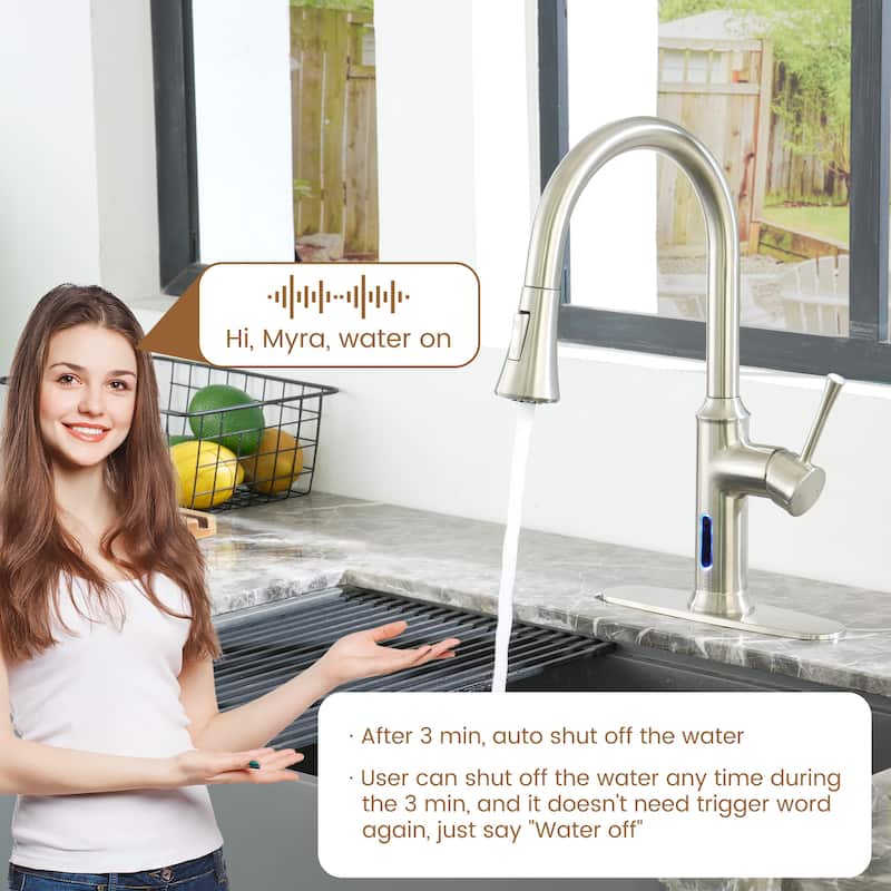Smart Touchless Single Handle Pull-Down Sprayer Kitchen Faucet with Infrared Sensor and Smart Voice Control