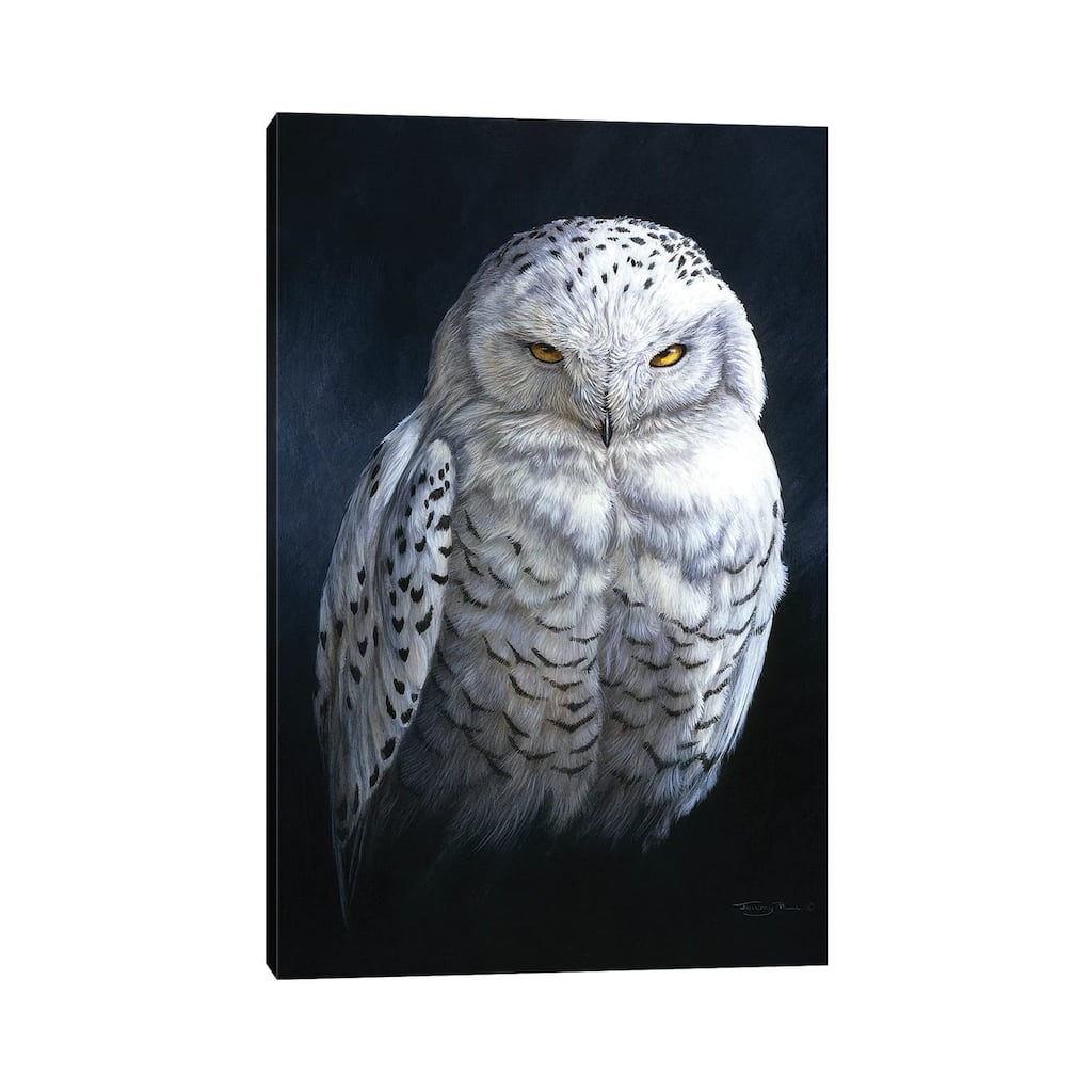 iCanvas "Spirit Of The North - Snowy Owl" by Jeremy Paul Canvas Print