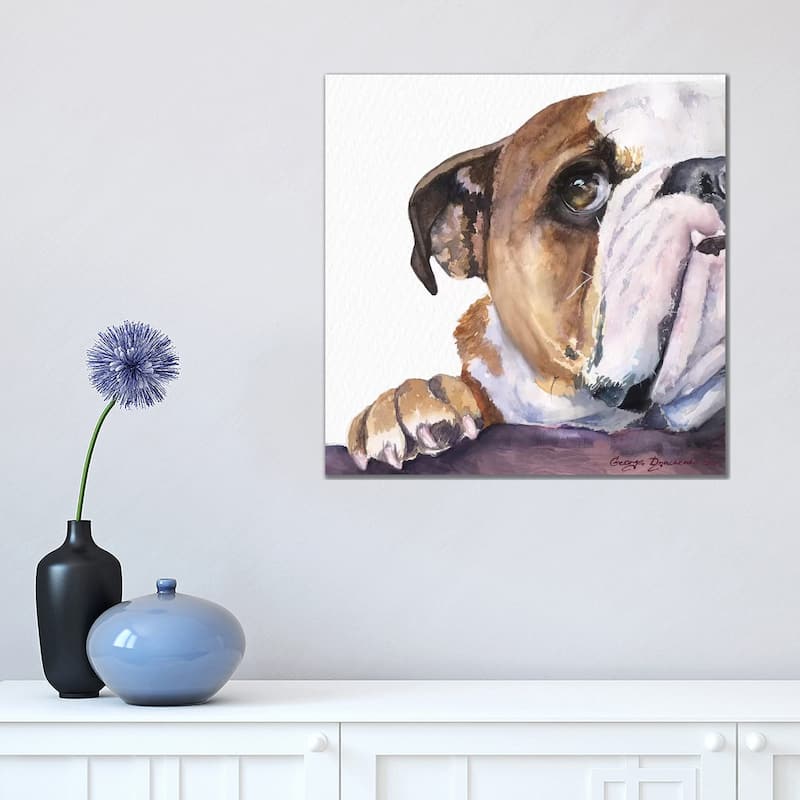 iCanvas "Peek A Boo English Bulldog Puppy" by George Dyachenko Canvas Print - 18x18x1.5