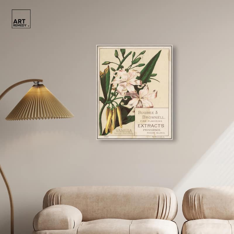Vanilla Planifolia Canvas by Art Remedy