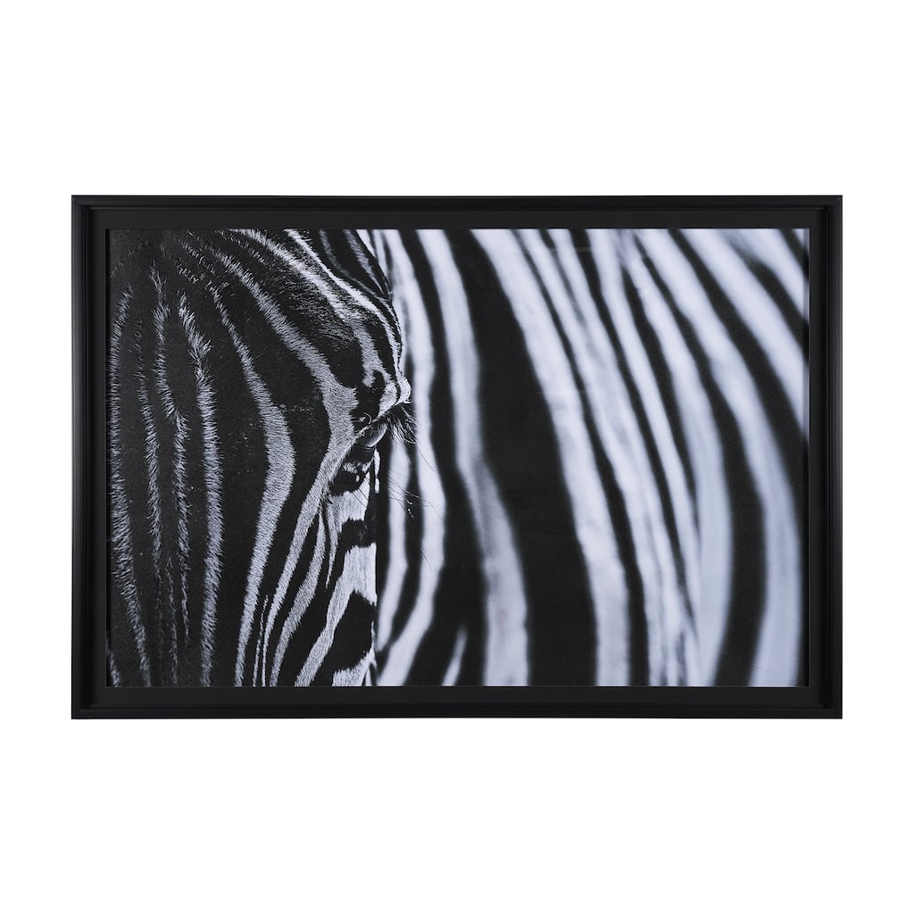 The Look of Nature Framed Art Print