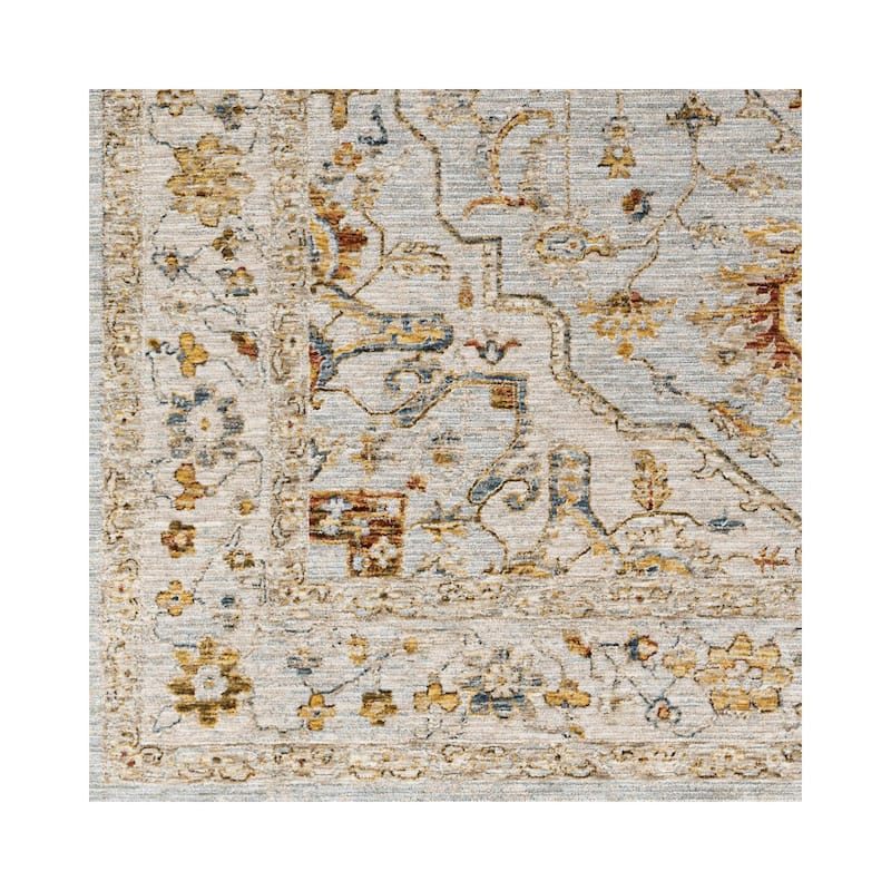 Tereza Updated Traditional Medallion Area Rug