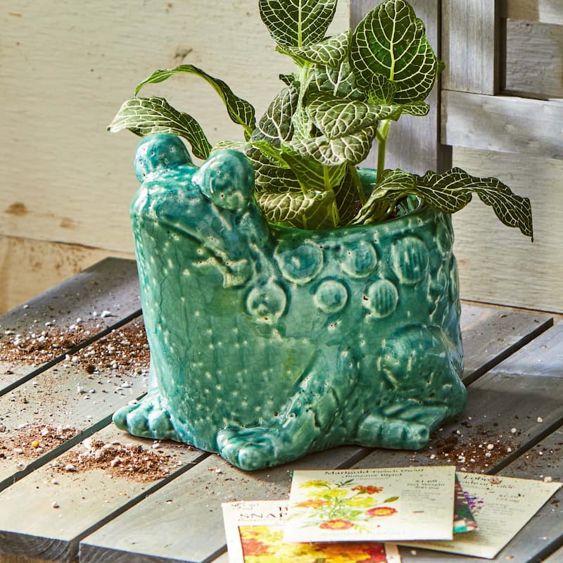 Frog Planter - Teal Blue