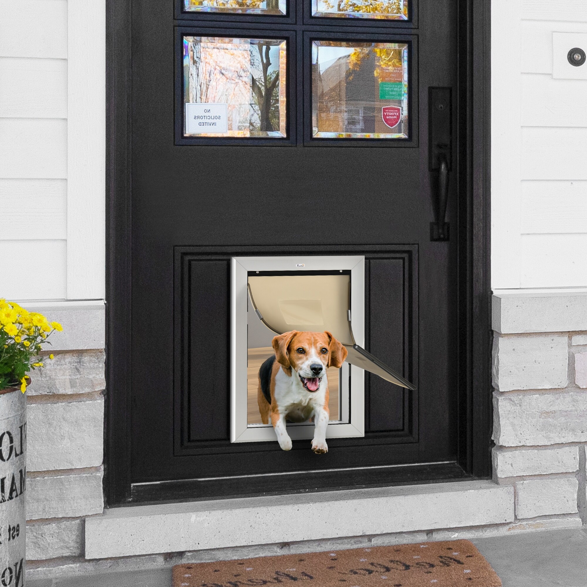 lockable doggie door