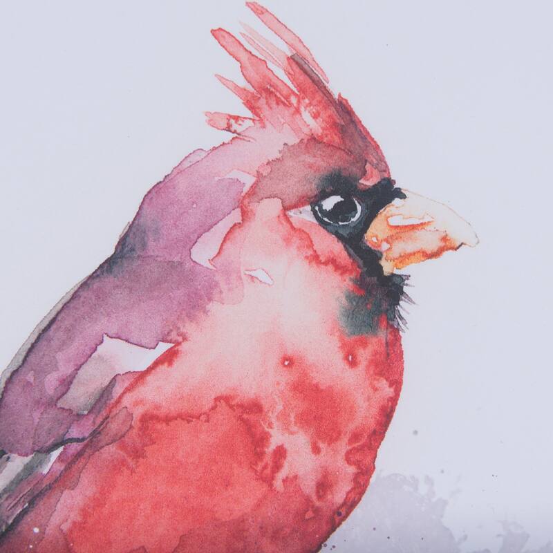 Cardinal II Framed Art Print