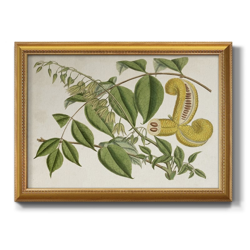 Tropical Foliage & Fruit I Premium Framed Canvas- Ready to Hang - 18X27 - Gold