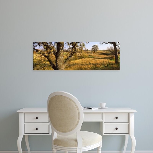 Easy Art Prints Panoramic Images's 'Trees on a landscape' Premium Canvas Art