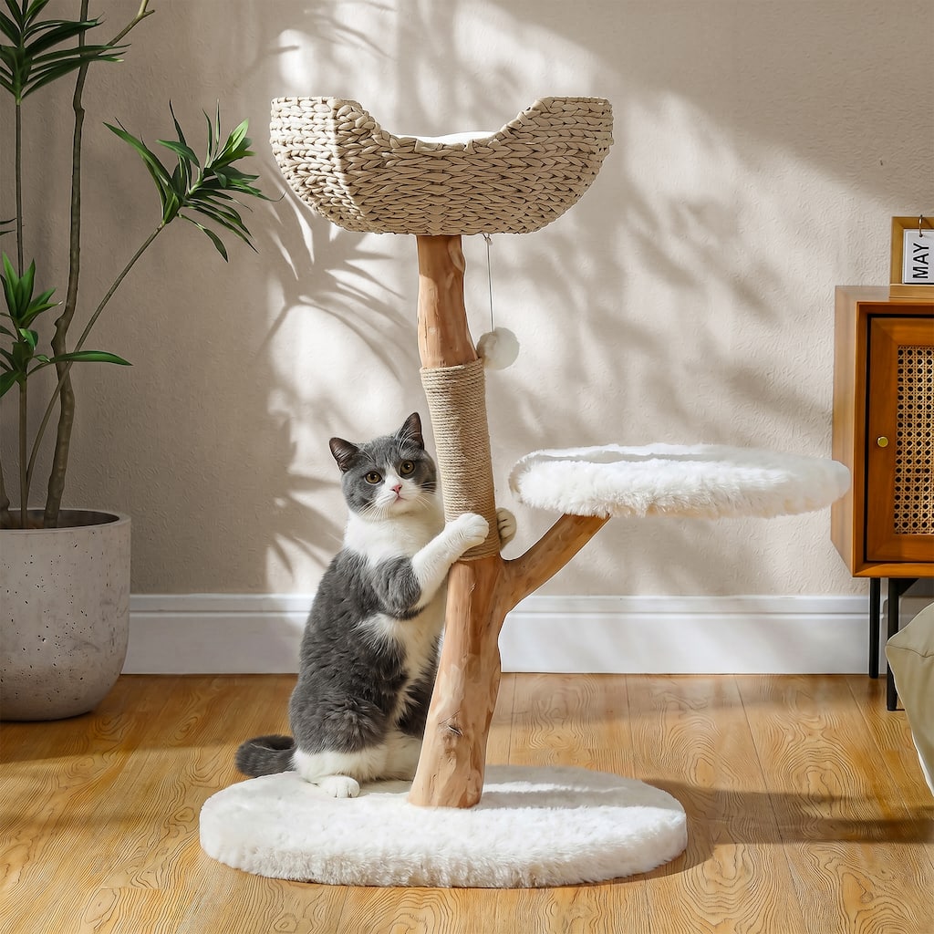are elevated food bowls good for cats Elevated Food-Grade Feeder Stand With Stainless Steel Cat Bowls  (Vet-Recommended!)