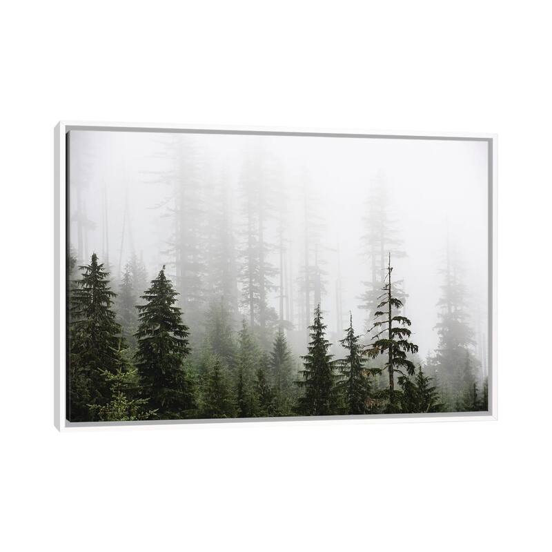 iCanvas "Misty Woods Forest Mountain Trees" by Nature Magick Framed Canvas Print - White - 18x26