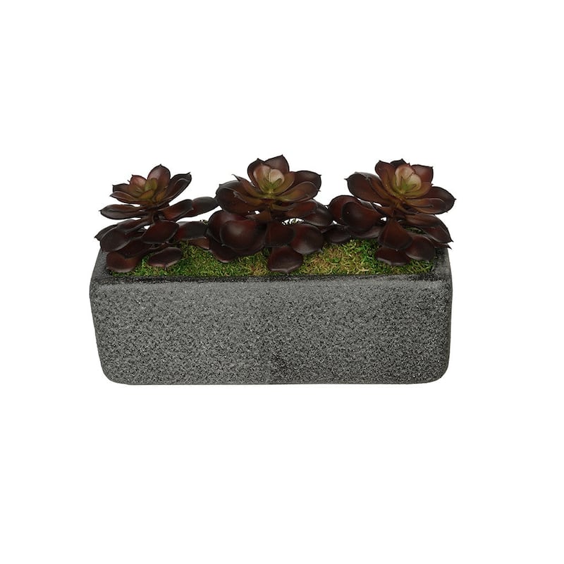 Faux Echeverias in Black Sandy-Texture Cermaic Vase