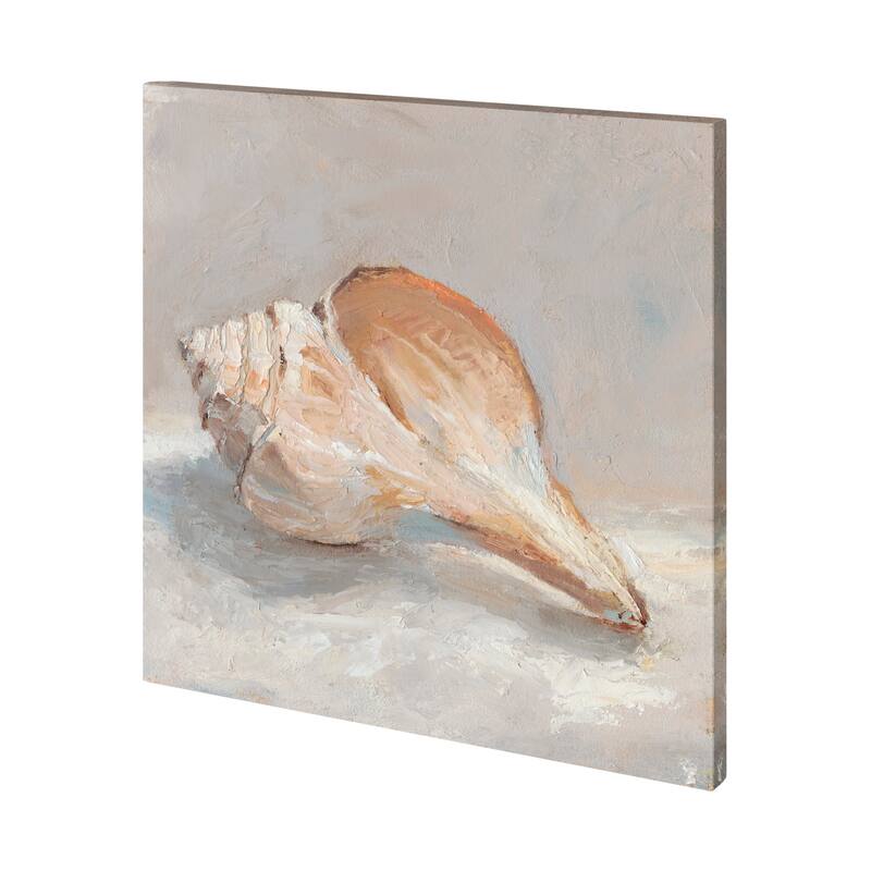 Impressionist Shell Study III Canvas Art Print - Small