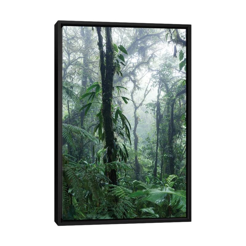 iCanvas "Monteverde Cloud Forest, Costa Rica" by Matteo Colombo Framed Canvas Print - Black - 40x26