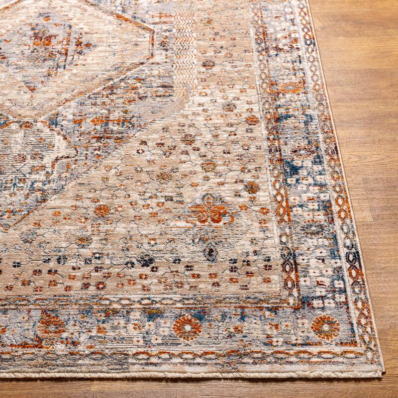 Artistic Weavers Seren Vintage Distressed Area Rug