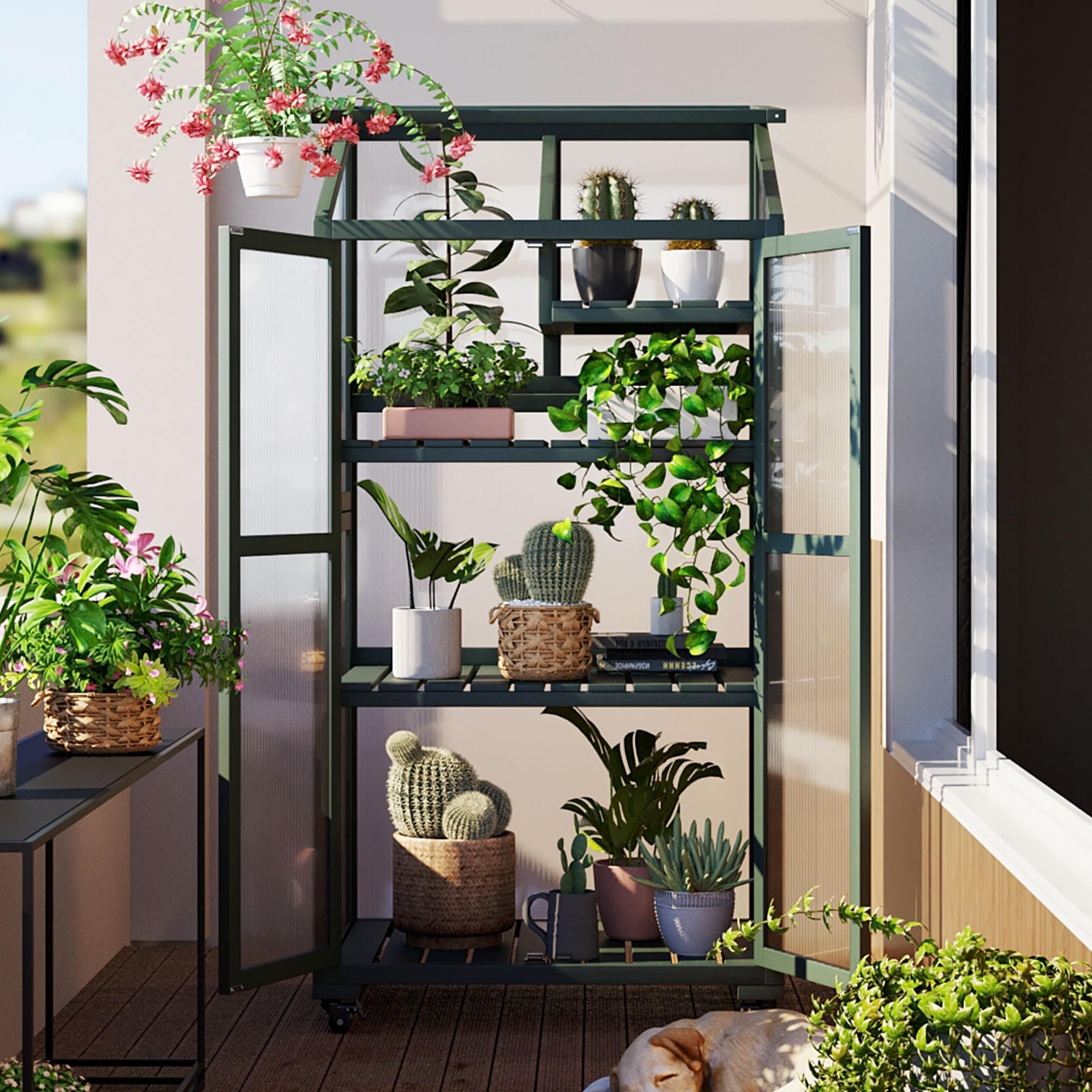 62inch Height Wood Large Greenhouse Balcony Portable Cold Frame with Wheels and Adjustable Shelves for Outdoor Indoor Use