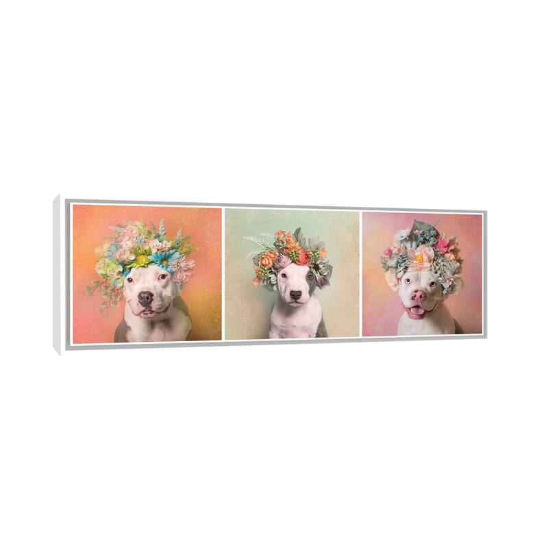 iCanvas "Pit Bull Flower Power, Lucy, Treasure And Rain" by Sophie Gamand Framed Canvas Print - 12x36 - White