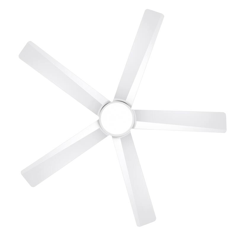 Breezary 65"/52"/42" 5-Blade LED Ceiling Fan with Light Kit and Remote
