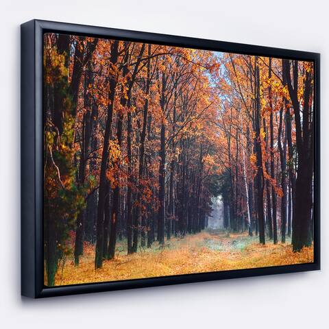 Designart 'Alley in the Dense Autumn Forest' Forest Framed Canvas Art Print