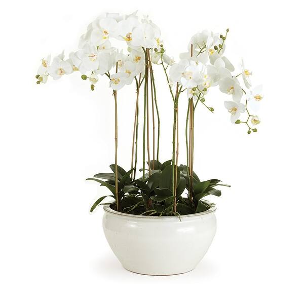 slide 1 of 2, Barclay Butera Phalaenopsis In Ceramic Bowl 36"