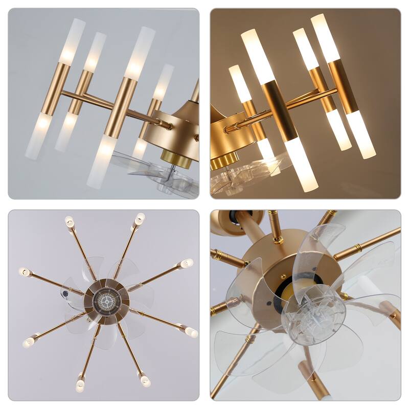 CurveCurio 24" Dark Gold Modern Ceiling Fan w 8 Lights, Chandelier Fan Light Quiet DC Motor 6 Speed Options w remote control