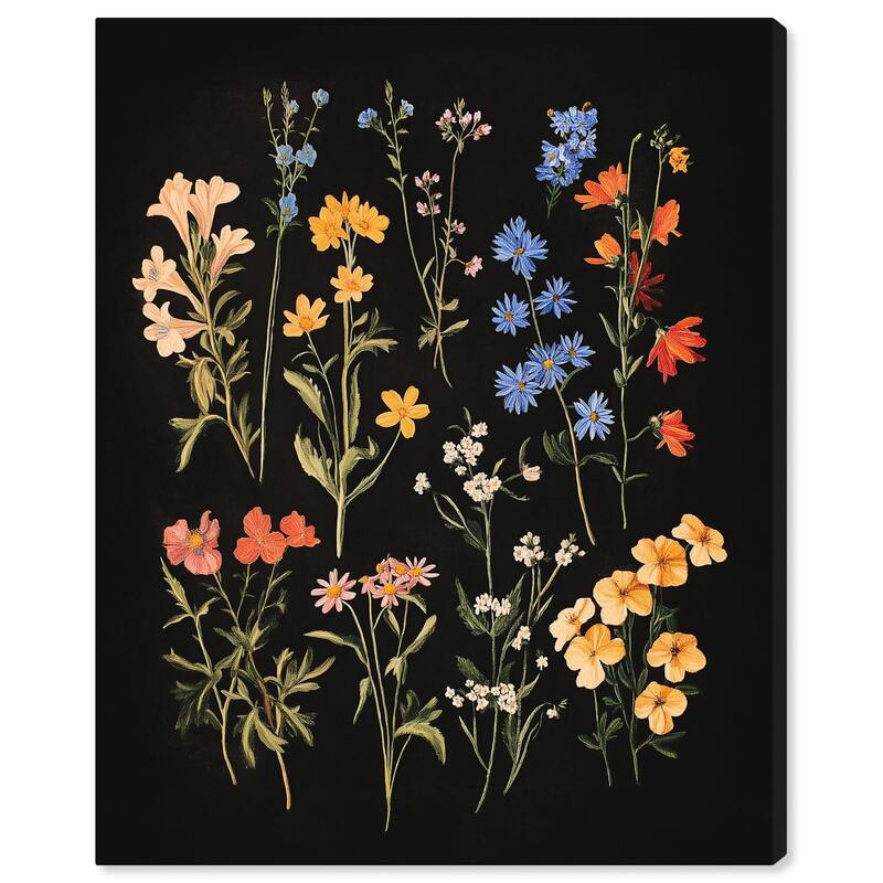 Darkling Daisies II Canvas by Art Remedy, Gallery Wrapped - 36" x 45"