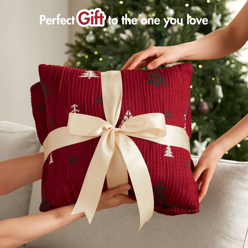 Madison Park Winter Coverlet Mini Set