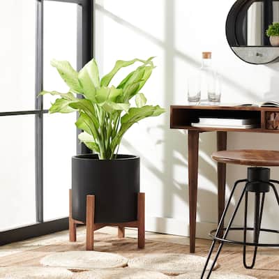 SAFAVIEH Outdoor Savva Concrete Planter - 17"W x 17"D x 19"H