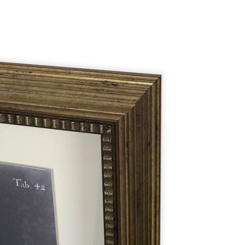Foliage Dramatique VI Framed Art Print