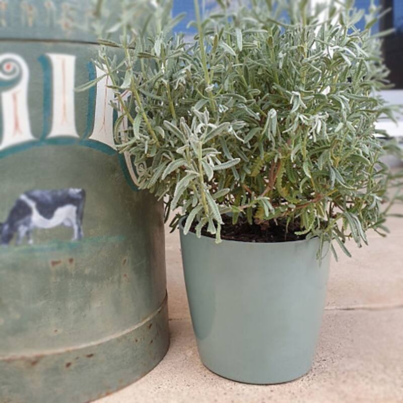 7" Round Self-Watering Indoor/Outdoor Bamboo Pots