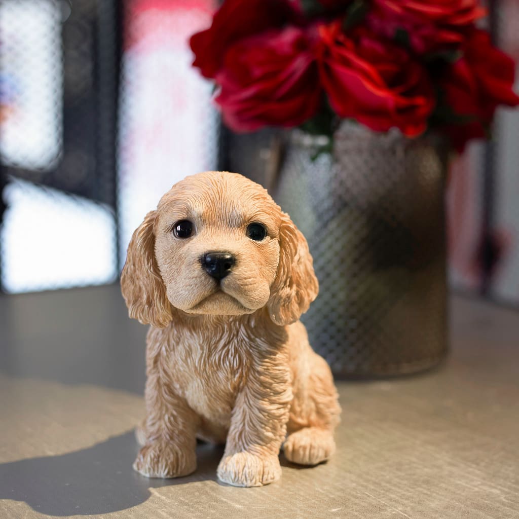 SoReal Brown Cocker Spaniel