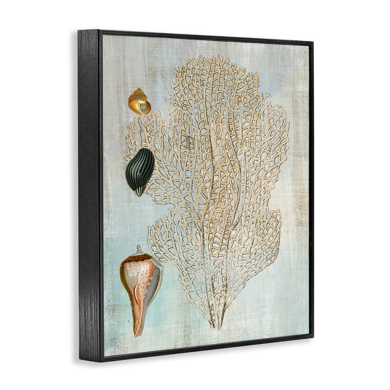 Stupell Detailed Coral & Seashells Framed Giclee Art Design By Susan Arnot