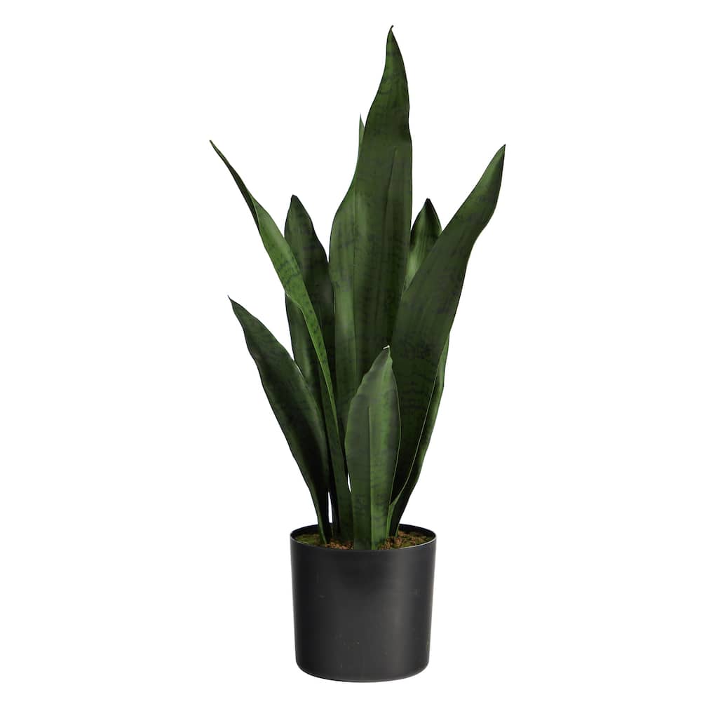 22" Sansevieria Artificial Plant - 6"
