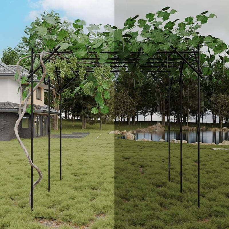 Outdoor Flattop Garden Arch Arbor Trellis for Climbing Plants