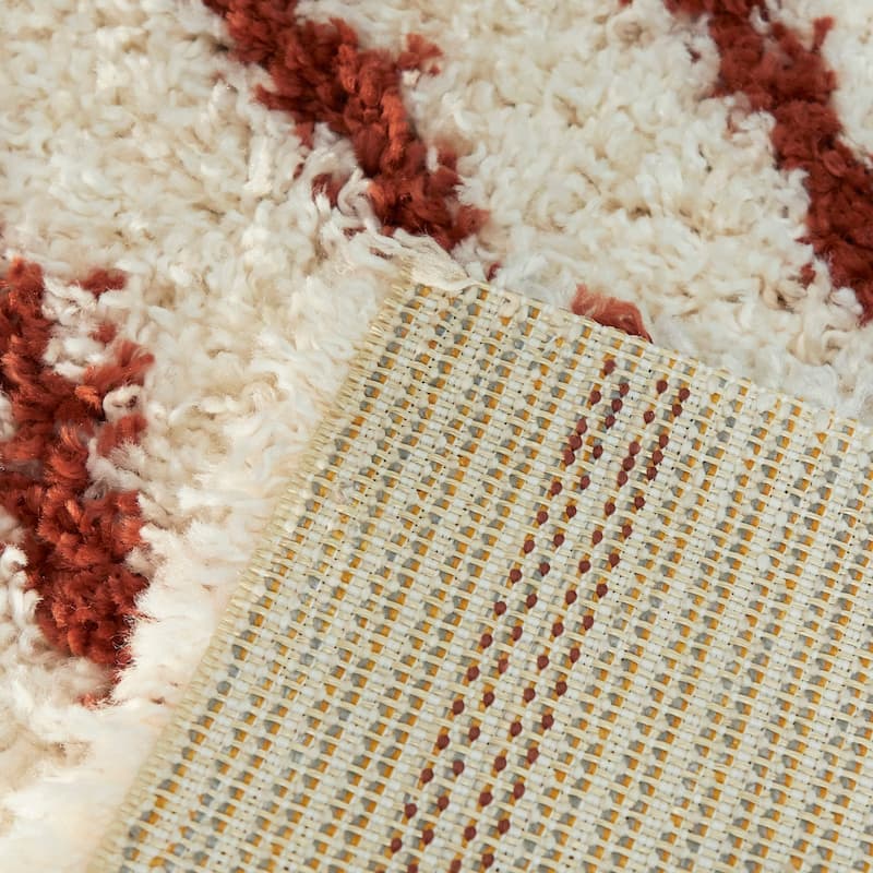 Janus Contemporary Berber Shag Area Rug