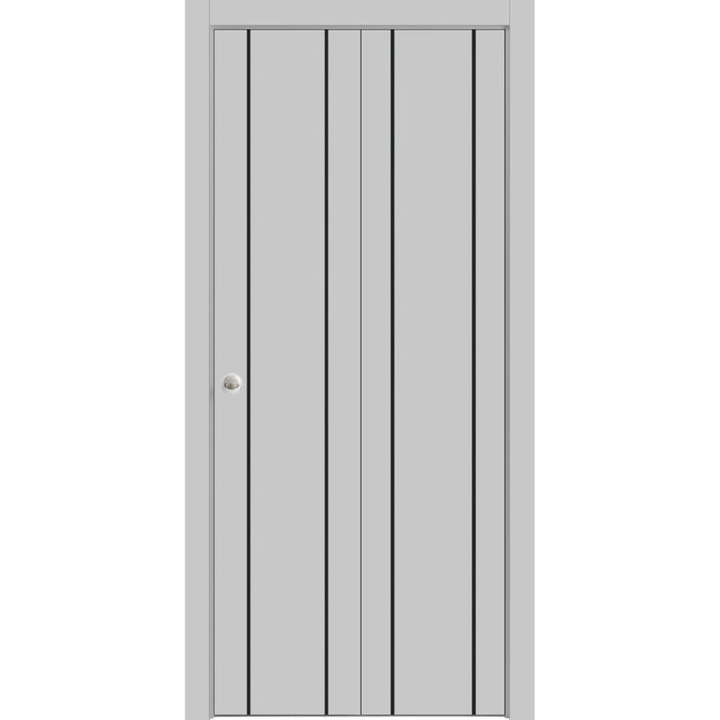 Slab Barn Door Panel 28 x 80 Planum 0016 Grey Matte with Sturdy Finished - 48" x 84" ( 2* 24x84)