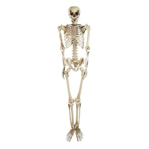 Shop 5 Spooky Life Size Skeleton Indoor Outdoor Halloween
