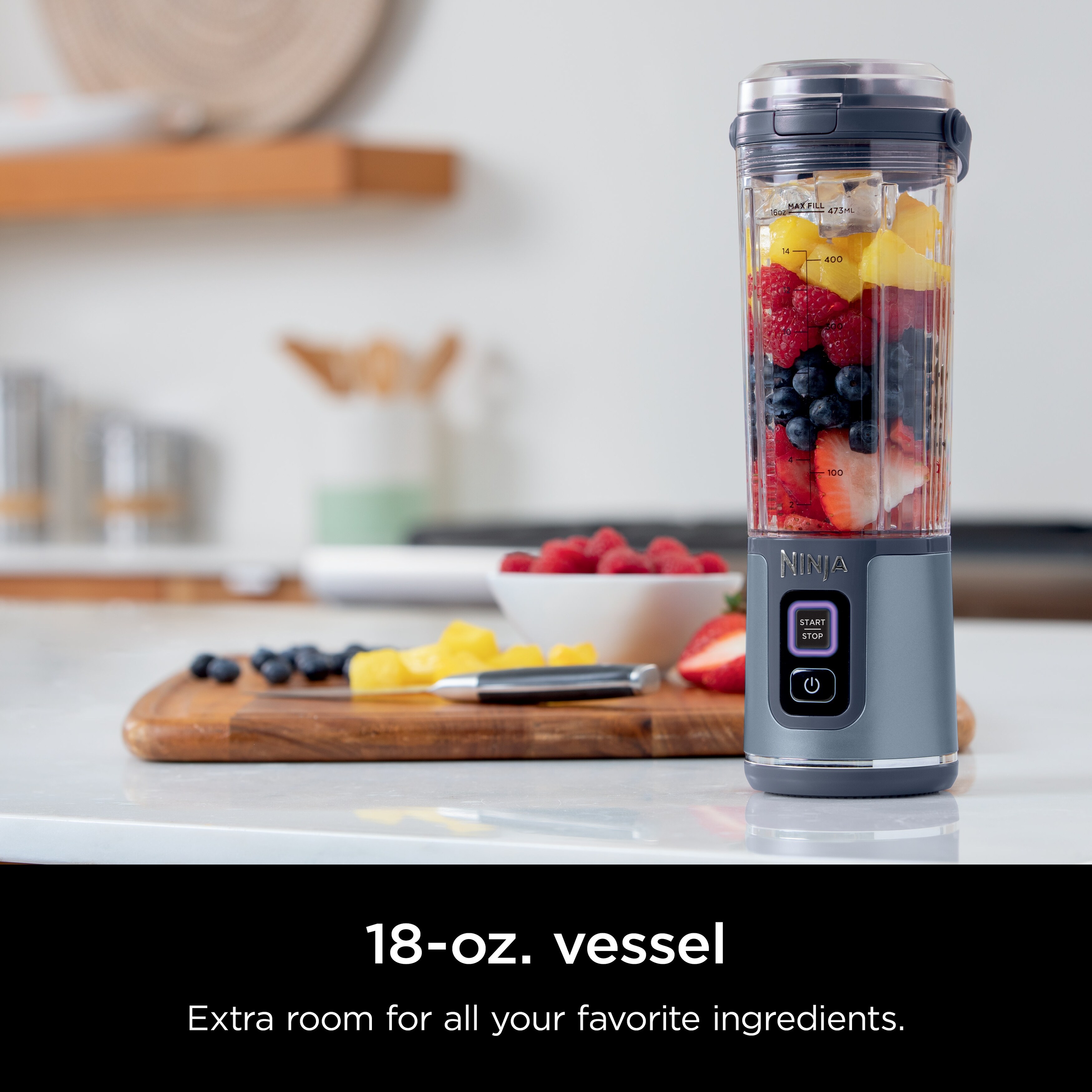 Ninja Blast Portable Blender Cordless 18oz. Vessel USB C
