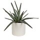 preview thumbnail 4 of 2, Uttermost Taos Aloe Centerpiece - 21"W x 19"H x 21"D