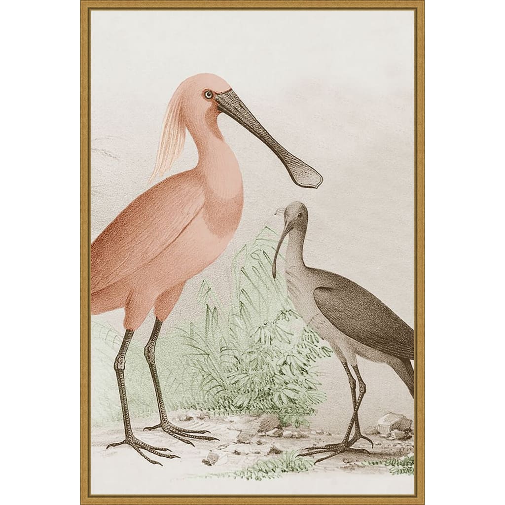 Antique Chroma Waterbirds II Framed Canvas Wall Art Print - Sylvie Gold