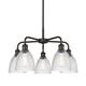 Option Oil Rubbed Bronze / Clear