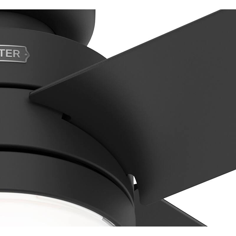 Hunter 52" Timpani Ceiling Fan w/ LED Light, Pull Chain
