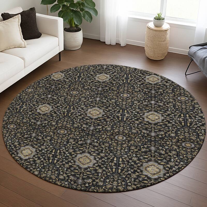 Machine Washable Indoor/ Outdoor Traditional Mika Chantille Rug