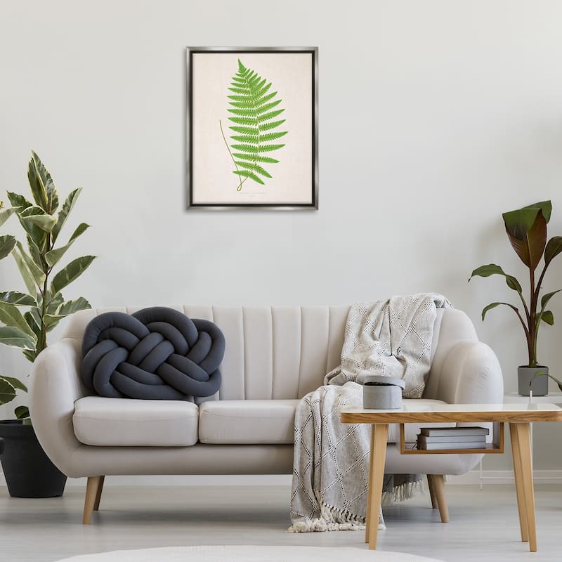 Stupell Single Fern Branch Framed Floater Canvas Wall Art Design By Phillipa Katz