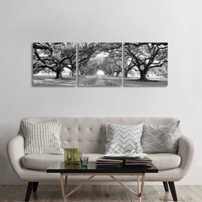 iCanvas "Brick Path Through Alley Of Oak Trees, New Orleans (B&W) II" by Panoramic Images 3-Piece Canvas Wall Art Set - 24x72x1.5
