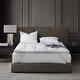 preview thumbnail 6 of 4, HGOOSE™ is pure, Hungarian Goose Down that is exclusively made in Hungary using only the finest Hungarian Goose feathers and down. HGOOSE™ was established in Nature with a touch of Nurture to create the most elite, sustainably responsible down bedding in the world.