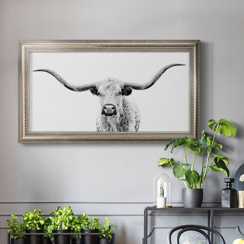 Longhorn Gaze Premium Framed Canvas- Ready to Hang