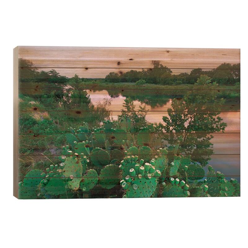 Prickly pear cactus at South Llano River State Park, Texas Print On Wood by Tim Fitzharris - Multi-Color - 26x40x1.5