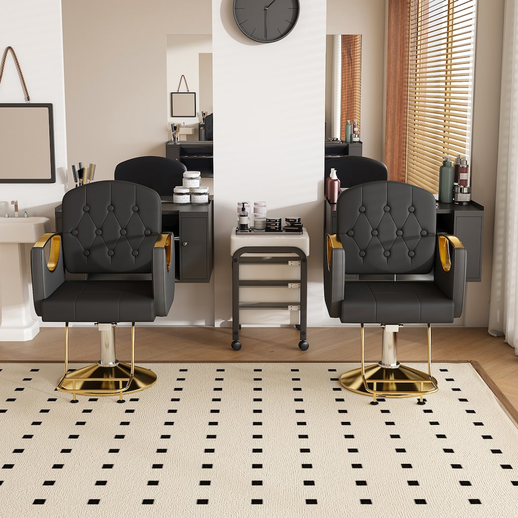 Roomfitters Professional Hydraulic Salon Chair with 360° Swivel, Heavy Duty Barber Stylist Chair with Gold Base